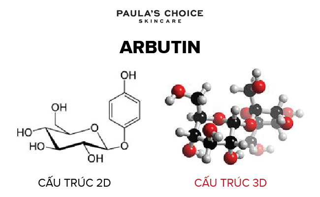 Tác động của arbutin đến quá trình sản xuất melanin