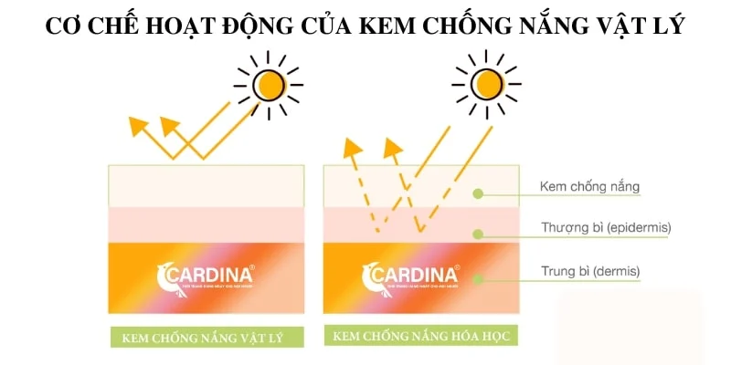 Đặc điểm của kem chống nắng vật lý là gì?