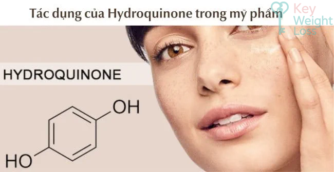 Nguồn gốc ra đời và phát triển của hydroquinone là gì Nguồn gốc ra đời và phát triển của hydroquinone là gì